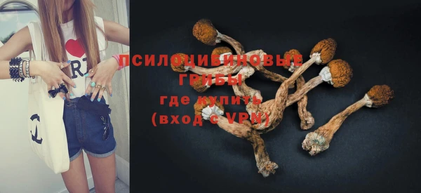 спайс Аркадак