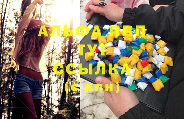 спайс Аркадак
